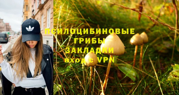 мет Белокуриха